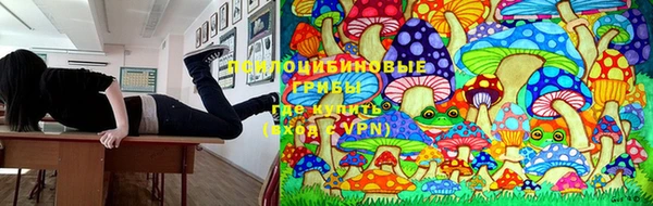 тгк Сатка