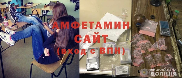 крисы Абаза
