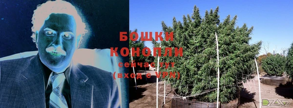 тгк Сатка